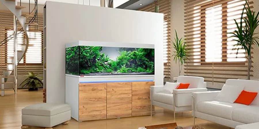 Jaką szafkę pod akwarium wybrać, aby uniknąć problemów?